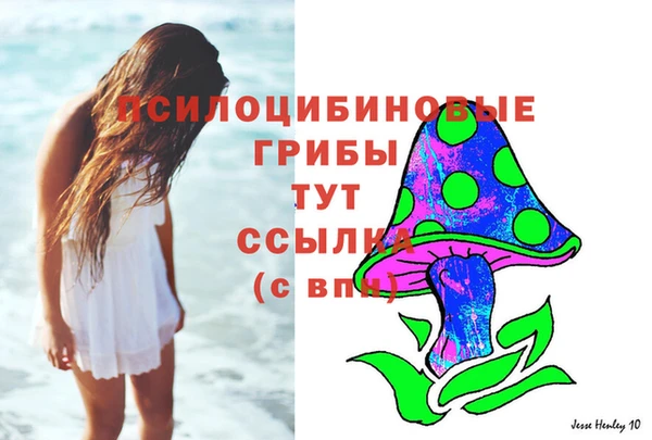 соль курить ск Алексеевка