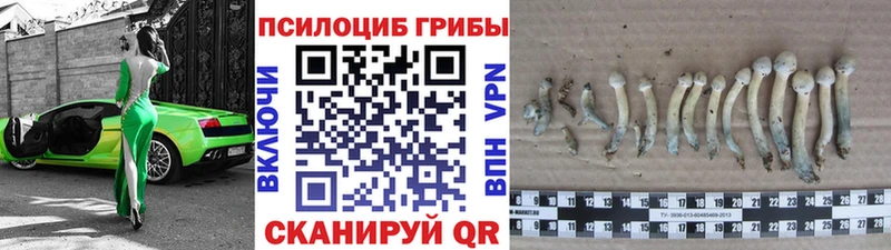 Галлюциногенные грибы прущие грибы Мураши
